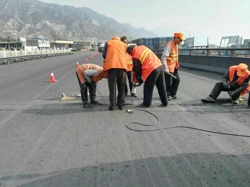 泰和道路桥梁病害治理